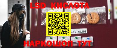 молекула духа Будённовск