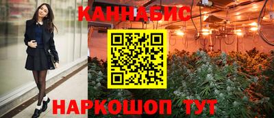молекула духа Будённовск