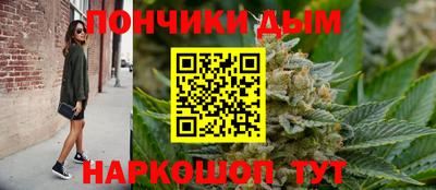 молекула духа Будённовск