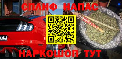 молекула духа Будённовск